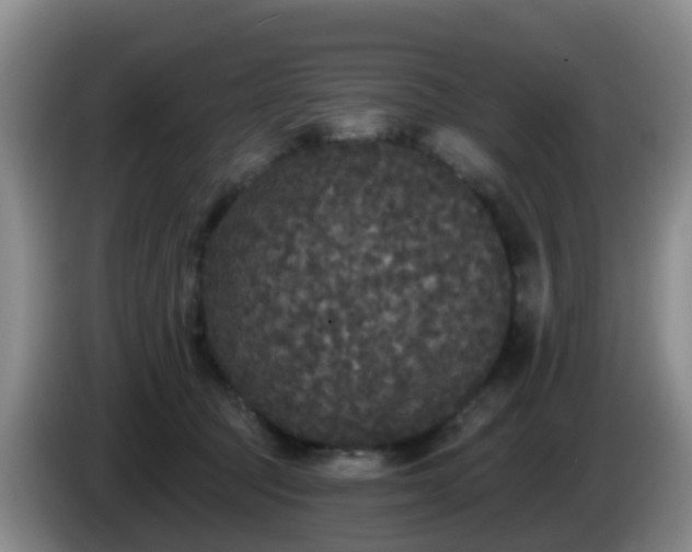 X0000085080369200703121708