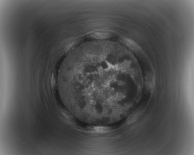 X0000085080371200703121708