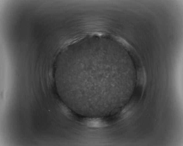 X0000085080377200703121708