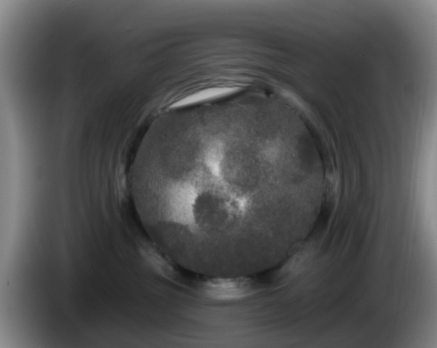 X0000085080381200703121708