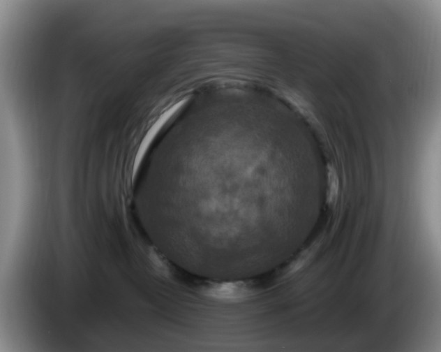 X0000085080382200703121708