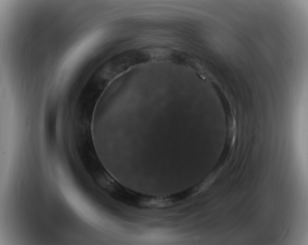 X0000085080383200703121708