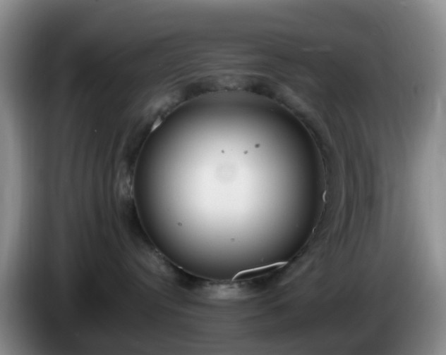 X0000085080384200703121708