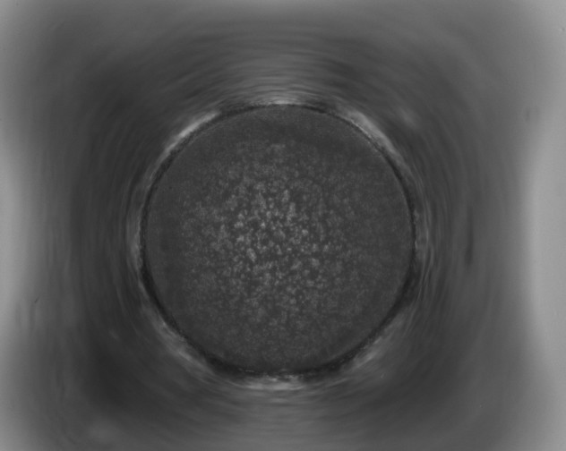 X0000085080386200703121707