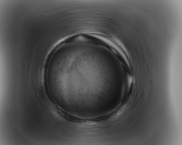 X0000085080387200703121707