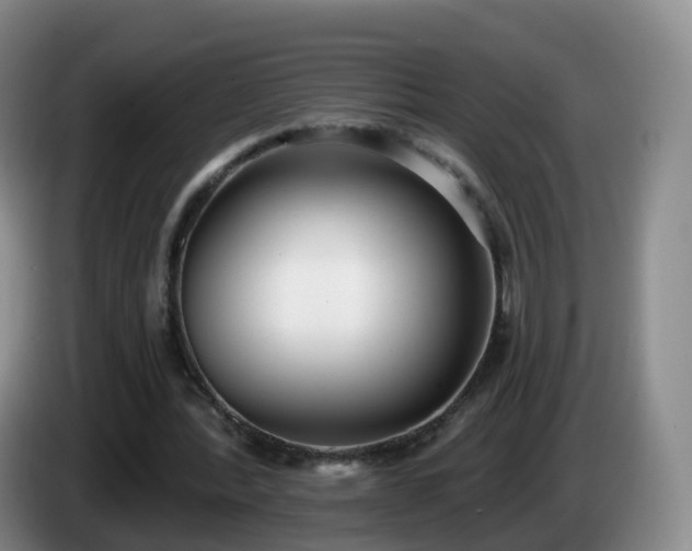 X0000085080388200703121707