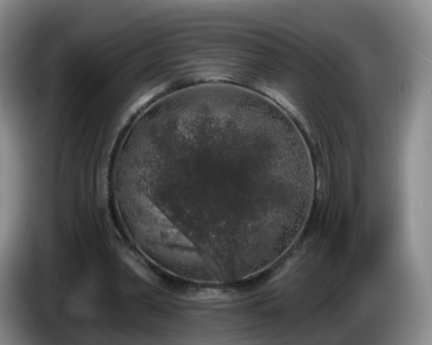 X0000085080390200703121707