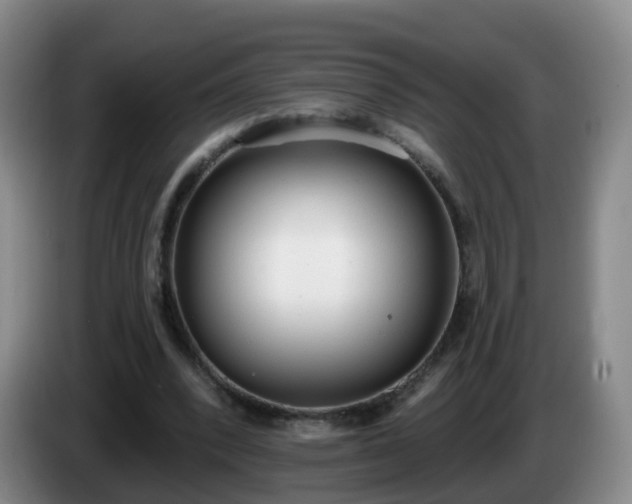 X0000085080392200703121707