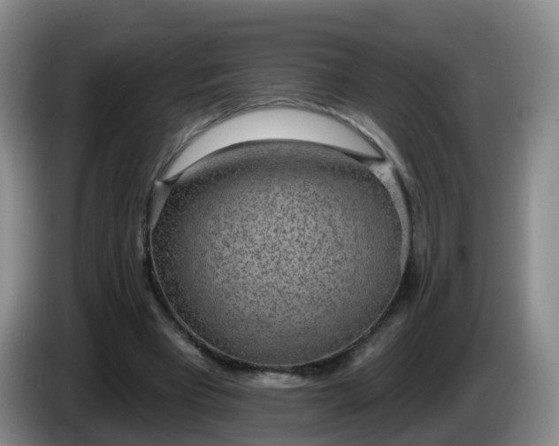 X0000085080393200703121707