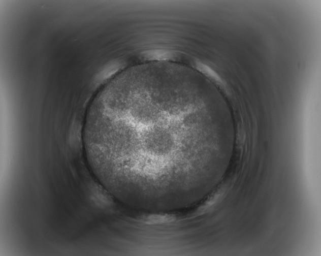 X0000085080394200703121707