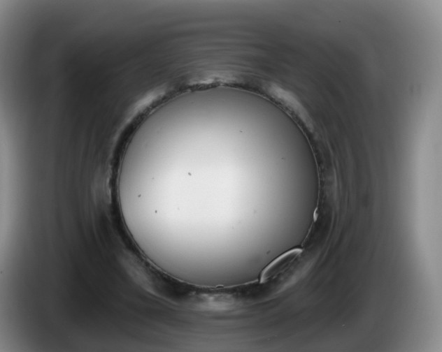 X0000085080395200703121707