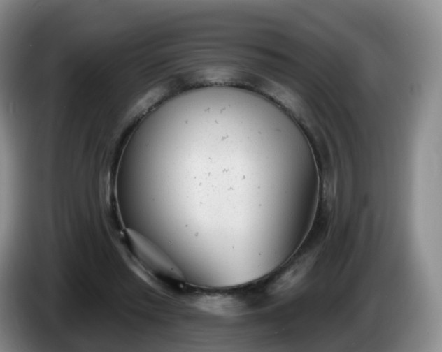 X0000085080397200703121707