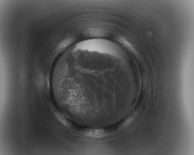 X0000085080398200703121707