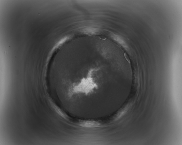 X0000085080399200703121707