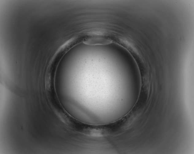 X0000085080400200703121707