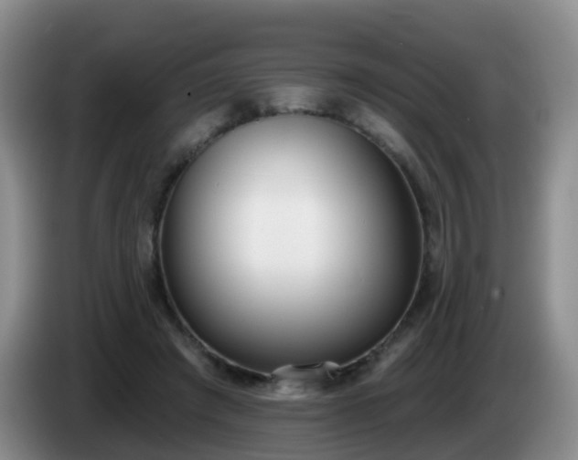 X0000085080401200703121707