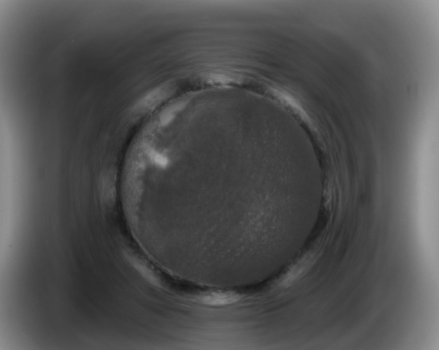 X0000085080402200703121707