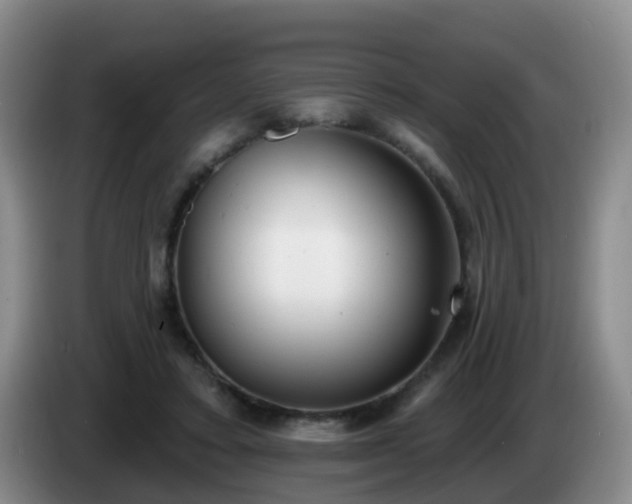 X0000085080403200703121707