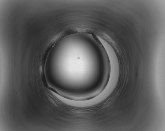 X0000085080405200703121707