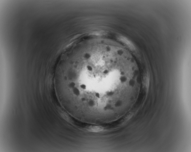 X0000085080409200703121707