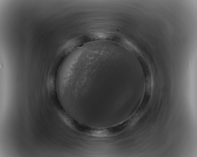 X0000085080410200703121707