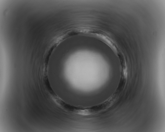 X0000085080411200703121707