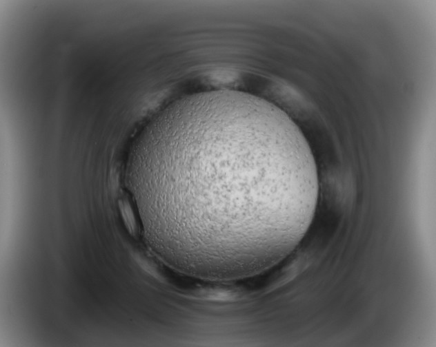 X0000085080412200703121707