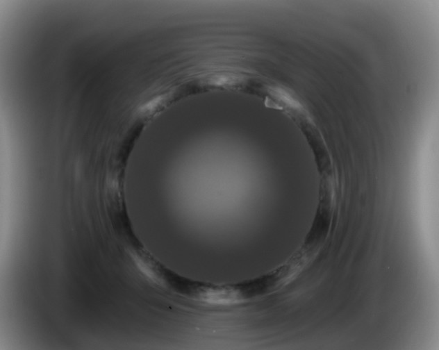 X0000085080415200703121707