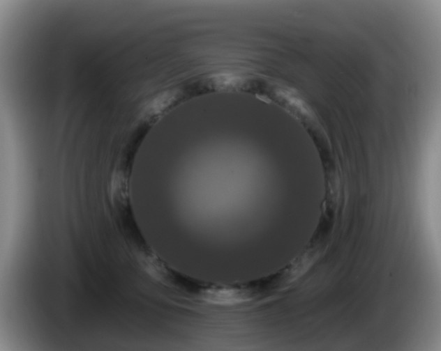 X0000085080419200703121707