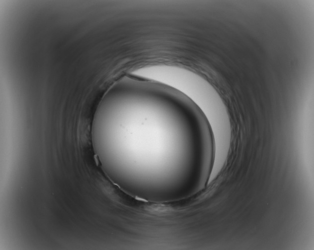 X0000085080421200703121707