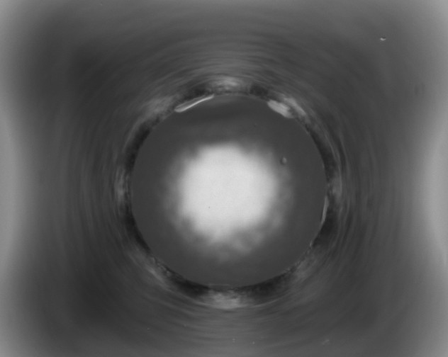 X0000085080423200703121707