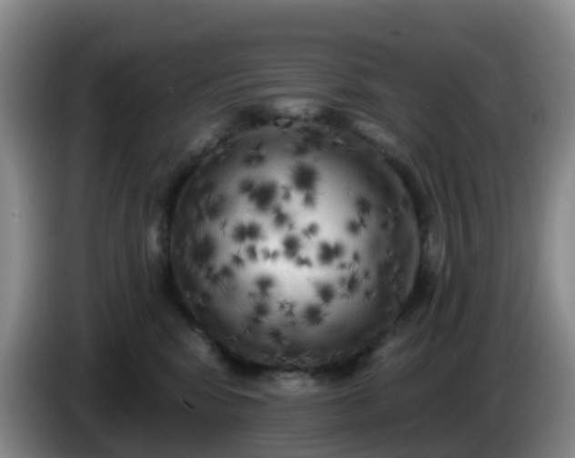 X0000085080424200703121707