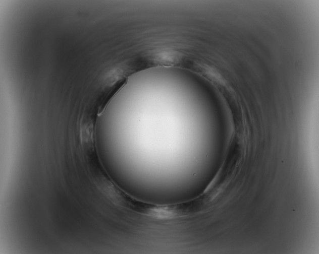 X0000085080425200703121707