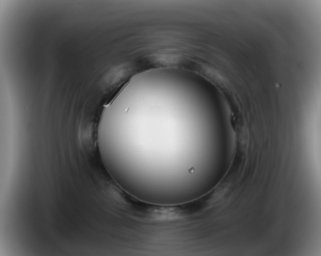 X0000085080428200703121707