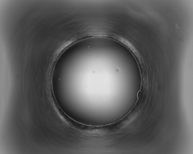 X0000085080433200703121706