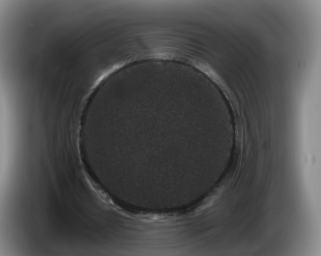 X0000085080434200703121706