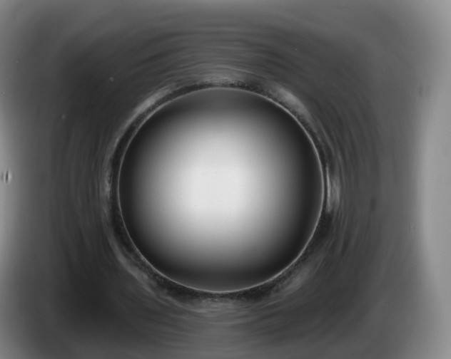 X0000085080435200703121706