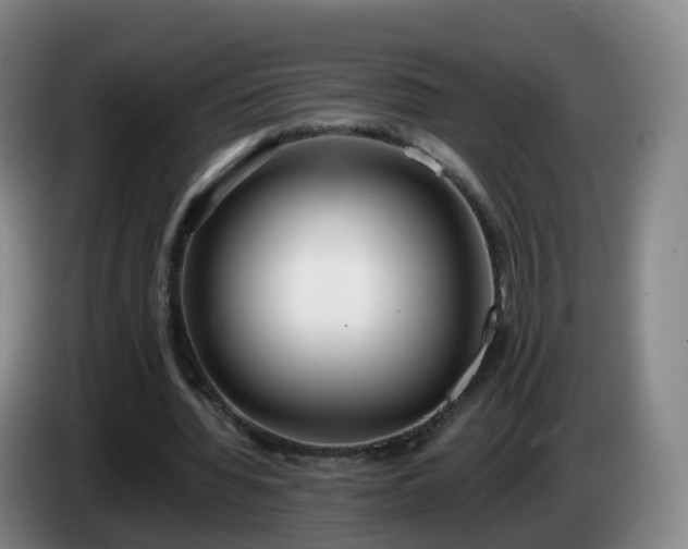 X0000085080436200703121706