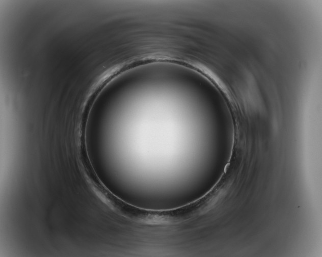 X0000085080437200703121706