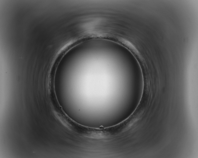 X0000085080439200703121706