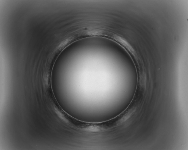 X0000085080441200703121706