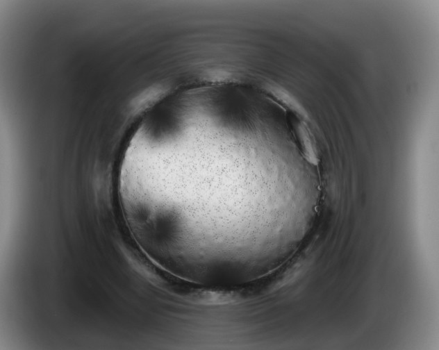 X0000085080442200703121706