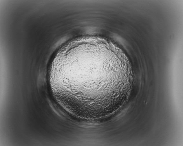 X0000085080443200703121706