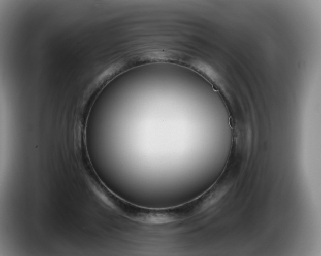 X0000085080445200703121706