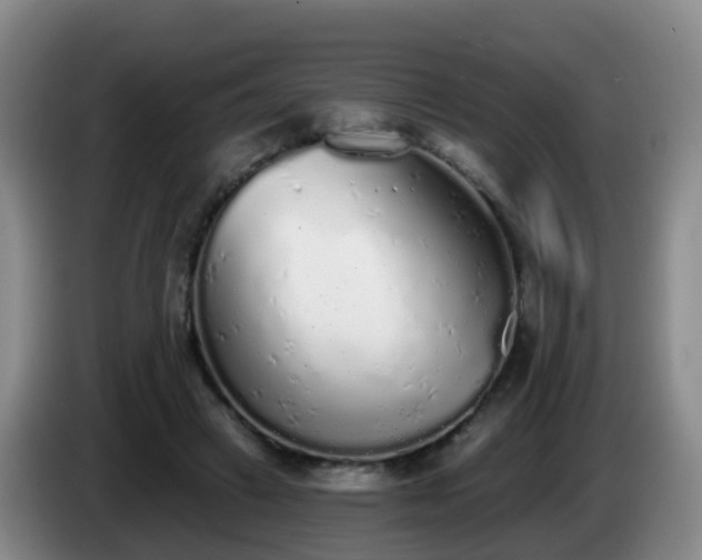 X0000085080449200703121706