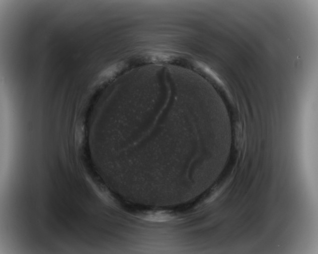 X0000085080451200703121706