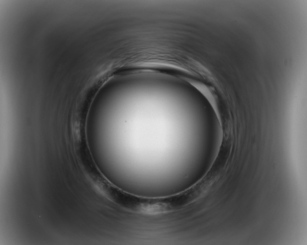 X0000085080452200703121706