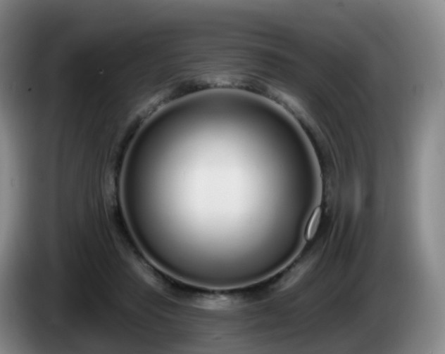 X0000085080453200703121706