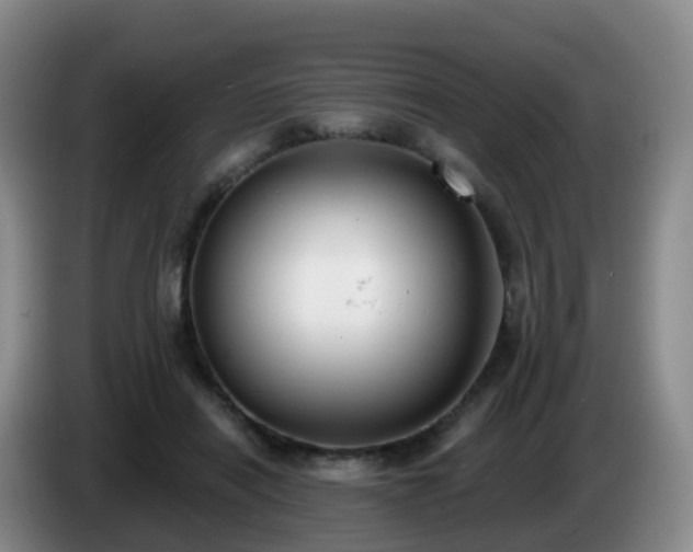 X0000085080454200703121706