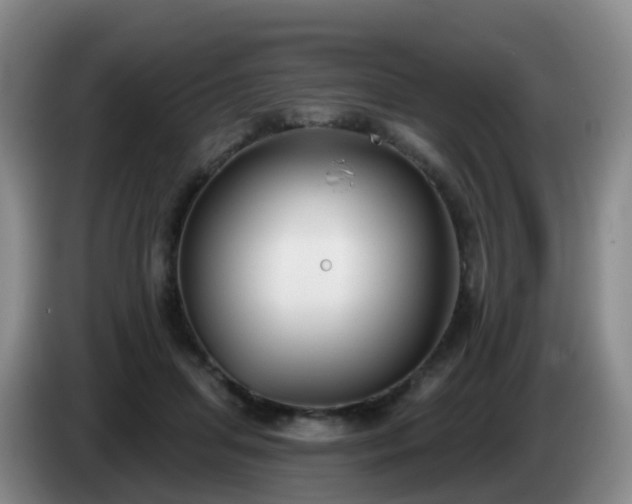 X0000085080455200703121706